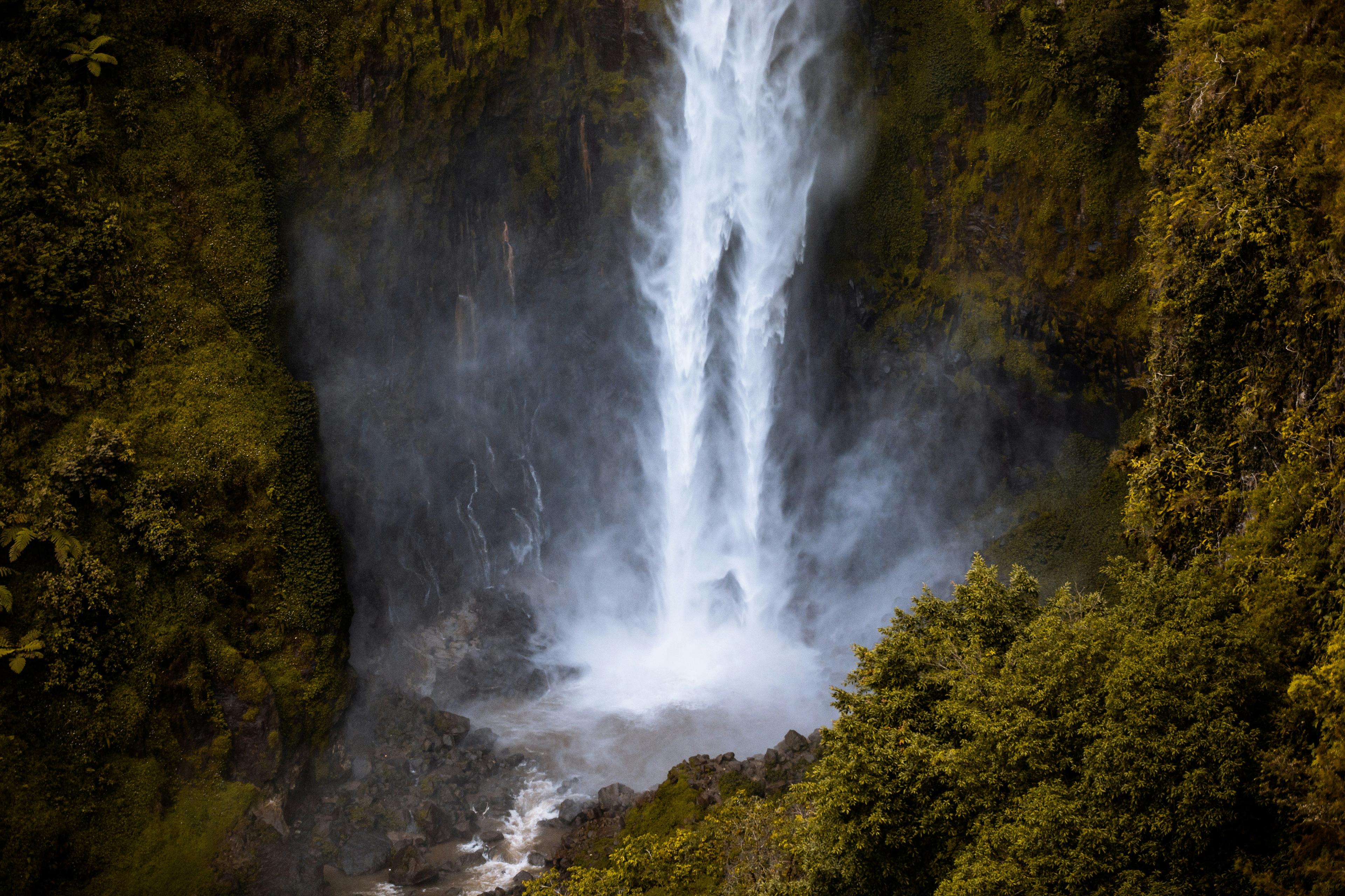 The Ultimate North Sumatra Expedition: Culture, Wildlife & Adventure